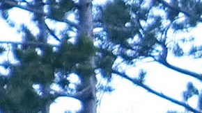 Parts Of Yellowstone National Park Reopen After Historic Flooding