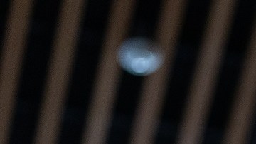 USCIS organizará ceremonias especiales para la naturalización de veteranos.