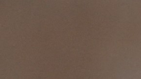 Decenas de monos provocaron la muerte de un hombre en Uttar Pradesh.