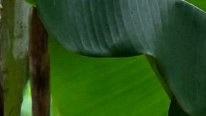 Una niña migrante venezolana es ayudada por su madre cuando llegan a la aldea de Canaan Membrillo, el primer control fronterizo de la provincia de Darién en Panamá.