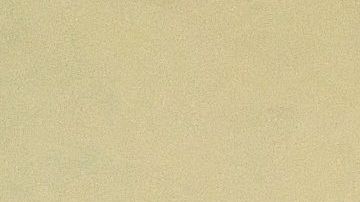 TOPSHOT-HONDURAS-CRIME-GANS