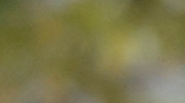 Protesta en Francia contra represión de mujeres en Irán