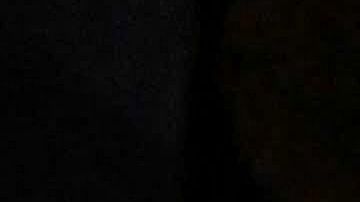 US-VOTE-ELECTION-POLITICS-BIDEN-MARYLAND-DNC