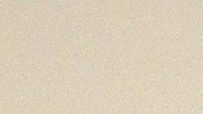 El cráneo fósil de 200 libras, apodado Maximus, será vendido el 9 de diciembre.