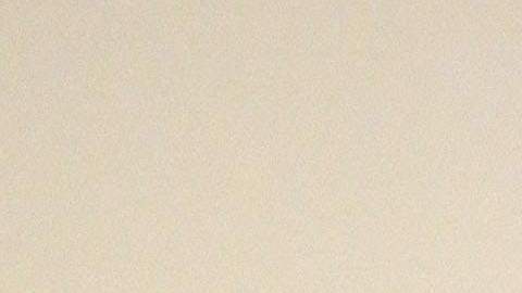 El cráneo fósil de 200 libras, apodado Maximus, será vendido el 9 de diciembre.