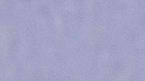 I Voted elecciones medio término en EEUU