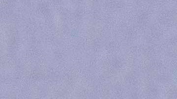 I Voted elecciones medio término en EEUU