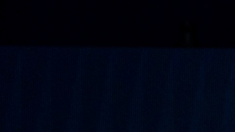 Demócratas Cámara de Representantes de EE.UU. elecciones de medio término