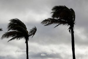Biden aprueba emergencia para cierta región en Florida ante peligro de tormenta Nicole