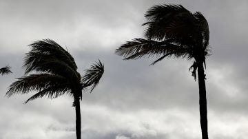 Florida enfrenta los impactos de la tormenta Nicole.