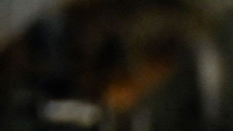 Checo Pérez luego de salir de la clasificación del Gran Premio de Brasil.