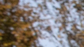 Zelensky Visits Kherson After City Reclaimed by Ukraine