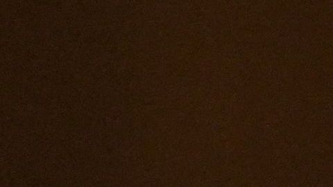 Rusia no asistirá a la Conferencia de Seguridad de Múnich tras la invasión de Putin en Ucrania.