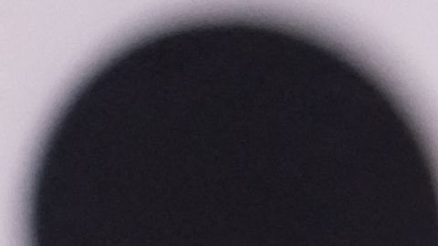 Nadia Ferreira y Marc Anthony