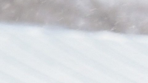 El líder ruso se reuniría con las madres de los soldados reclutados.