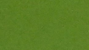 La selección de Ecuador tuvo que dejar fuera a su defensor Byron Castillo para evitar sanciones por alineación indebida.