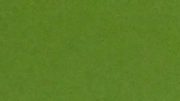 La selección de Ecuador tuvo que dejar fuera a su defensor Byron Castillo para evitar sanciones por alineación indebida.