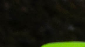 Irán Protestas Estados Unidos Israel