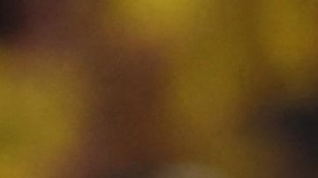 Enner Valencia (D) celebra el segundo gol del partido