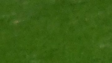 El primer tiempo recibió 14' minutos de añadido por el incidente.