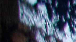 Varias casas que se encontraban cerca de una mina ilegal se vieron afectadas por la avalancha de lodo y tierra.