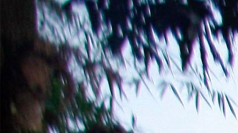 Varias casas que se encontraban cerca de una mina ilegal se vieron afectadas por la avalancha de lodo y tierra.