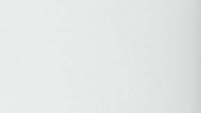 Joe Biden Thanksgiving Acción de Gracias