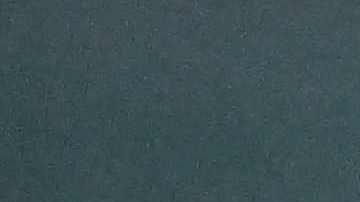 Anthony Fauci China Covid-19