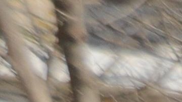 Siria Turquía Joe Biden Donald Trump