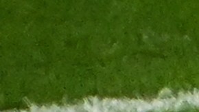 Thibaut Courtois durante el encuentro entre Bélgica y Canadá en Qatar 2022.