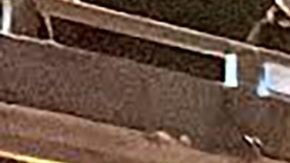 CHINA-HEALTH-VIRUS-PROTEST