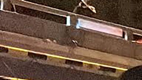 CHINA-HEALTH-VIRUS-PROTEST