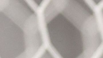 Christian Pulisic es atendido por el cuerpo médico de la selección estadounidense.