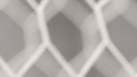 Christian Pulisic es atendido por el cuerpo médico de la selección estadounidense.