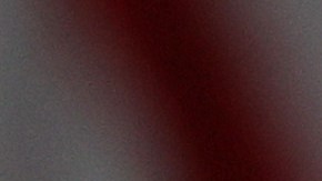 President Trump Delivers Update On Operation Warp Speed At White House