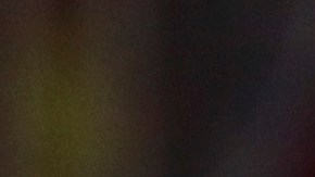 Lionel Scaloni, DT de la Albiceleste.