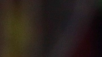 Lionel Scaloni, DT de la Albiceleste.