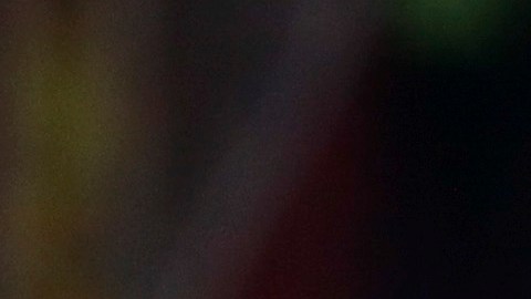 Lionel Scaloni, DT de la Albiceleste.