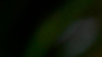 Revelaron el tráiler de la tercera parte de Magic Mike y que es protagonizada por Channing Tatum.