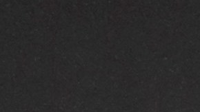 Nancy Pelosi Paul Pelosi San Francisco