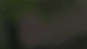 Rudy Giuliani Nueva York FBI