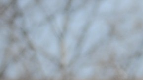 A Newark Police Department car parked in