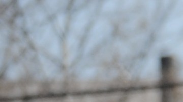 A Newark Police Department car parked in