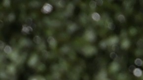 Jimmy Kimmel al frente de 'Jimmy Kimmel Live!', de la cadena ABC, desde el 2003.