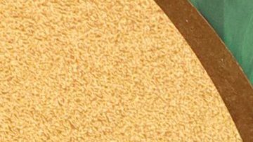 Alexandra Daddario tiene otra mansión en Hancock Park.