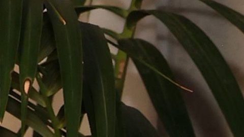 Jennifer Lopez se sinceró sobre su primera separación de Ben Affleck en 2004.