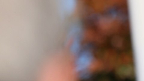 Sean Patrick Maloney dejará su posición en la Cámara de Representantes.