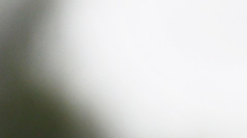 Checo Pérez