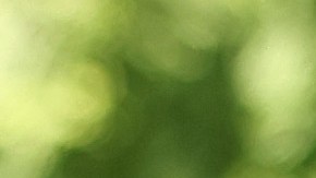 Sen. Mark Kelly Campaigns On Eve Of Midterm Elections In Phoenix