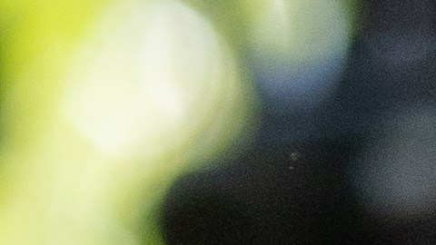 La candidata a gobernadora del Partido Republicano de Arizona, Kari Lake.